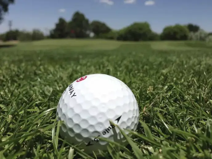 Golf ball lies in the grass.