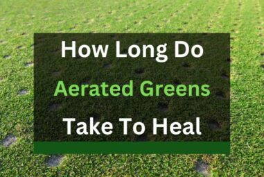 How Long Do Aerated Greens Take to Heal?